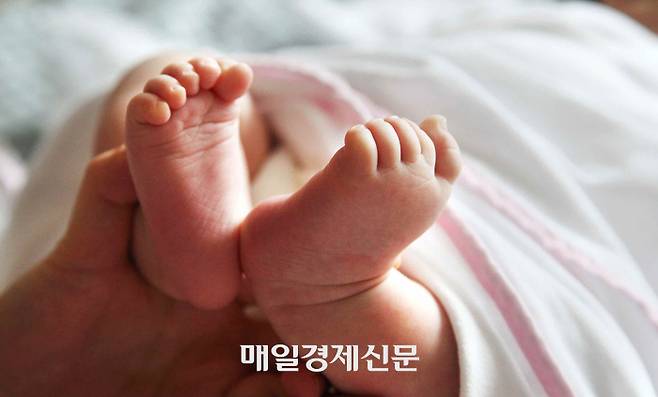 [매경DB]