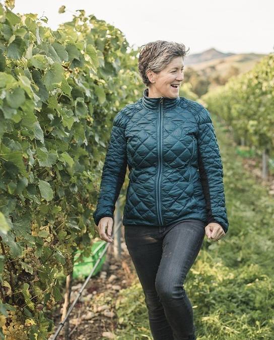 줄스 테일러. 홈페이지