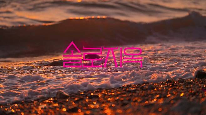 ▲ 솔로지옥5. 제공| 넷플릭스