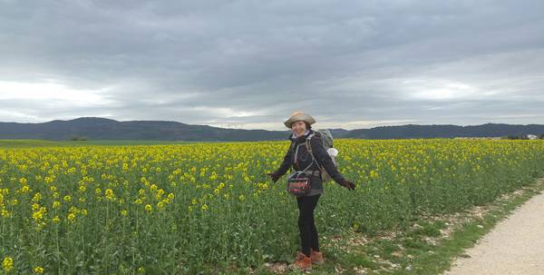 두 번째 산티아고 순례길 팜플로냐로 향하는 길.