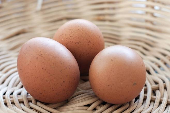 달걀 자료사진. 123rf.com