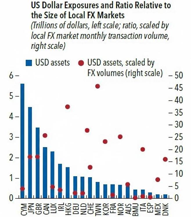 환노출 달러자산 및 외환시장 대비 배율(빨간점) [IMF Global Financial Stability Report 2025.10]