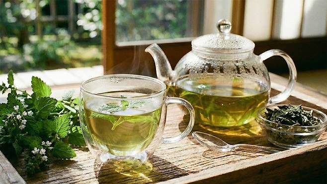 레몬밤 추출물이 제2형 당뇨병 환자의 혈당과 당화혈색소 수치를 줄일 수 있다는 연구결과가 있다|출처: Gemini 생성