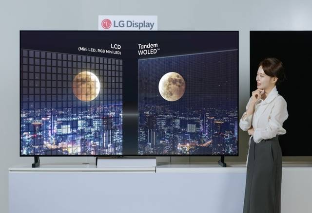 OLED TV 패널과 LCD TV 패널. LG디스플레이 제공