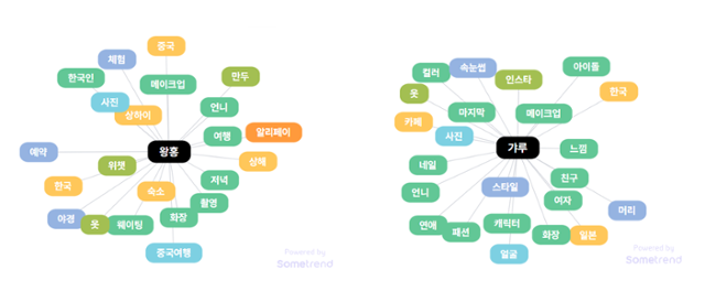 '왕홍', '갸루'와 함께 검색된 연관어. 썸트렌드 캡처