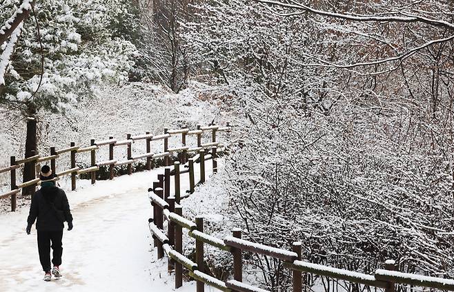 19일 경기도 수원시 영통구 한 공원에서 시민이 눈 쌓인 산책로를 걷고 있다. [연합뉴스]