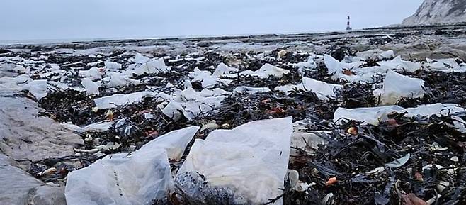 해변 곳곳에 감자튀김이 들어있는 비닐봉지가 흩어져 있다 [조엘 보니치 페이스북]