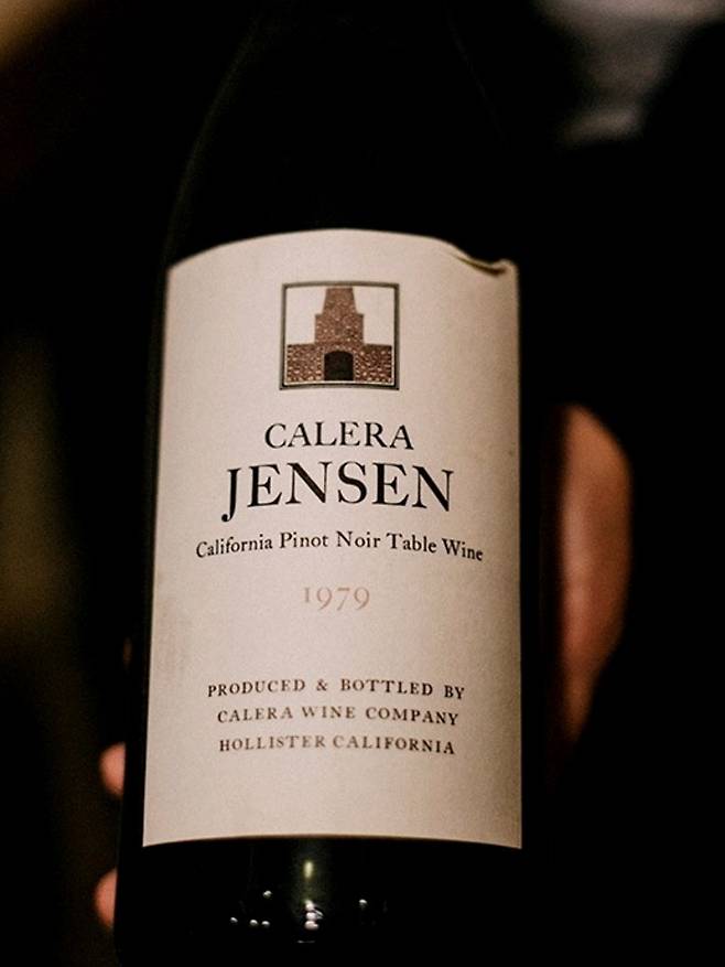 칼레라 젠슨 1979 빈티지. 인스타그램