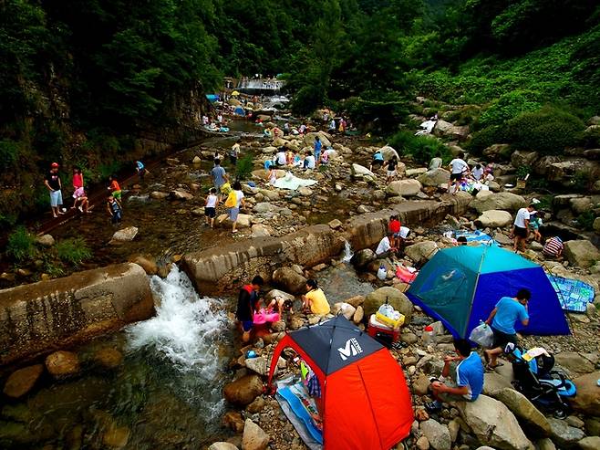 ▲ 여름철 치산계곡을 찾은 방문객들이 물놀이을 즐기고 있다.영천시