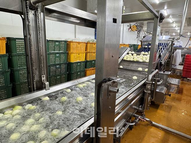 이랜드이츠 기흥 센트럴 키친에서 양파가 손질되고 있다. (사진=신수정 기자)