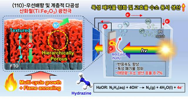 티타늄(Ti)-도핑 헤마타이트 광전극과 하이드라진 산화 기반 PV-PEC 수소 생산 개념도. 연구진은 이를 통해 전하 이동과 반응 계면을 동시에 향상시켜, 독성 하이드라진을 무해한 질소로 전환하면서 높은 태양광-수소 변환효율을 달성했다.