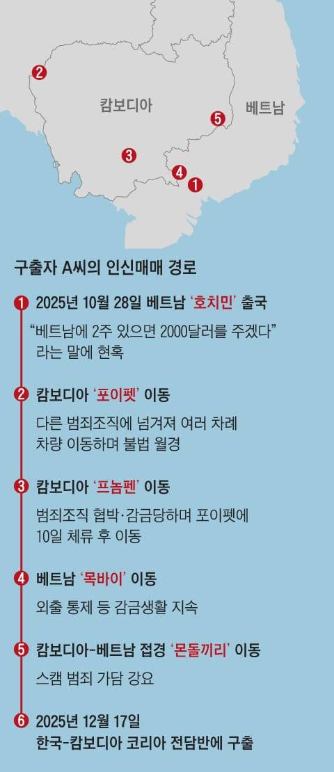 그래픽=조선디자인랩 이연주