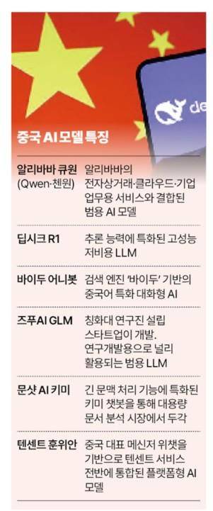 중국 AI 모델 특징