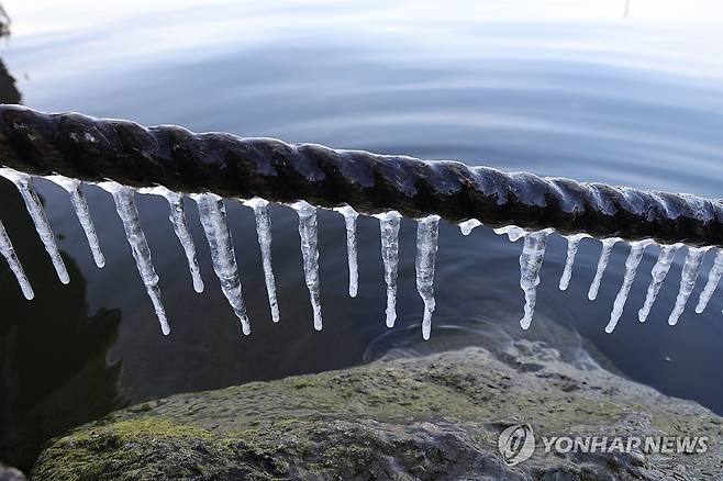 얼어 붙은 한강 하구 (고양=연합뉴스) 임병식 기자 = 한파특보가 발효 중인 20일 오전 경기도 고양시 한강 하구에 얼음이 얼어 있다. 2026.1.20 andphotodo@yna.co.kr