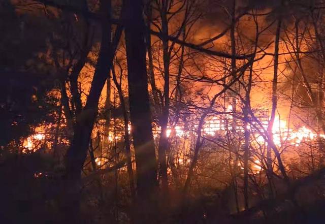 부산 기장군 청강리 야산 일대로 불이 확산하고 있다. 부산소방재난본부 제공