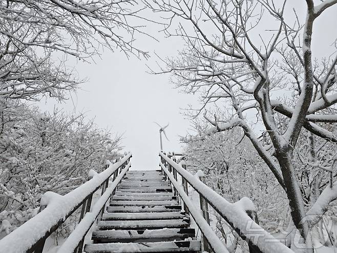 밤사이 대설주의보가 내려진 14일 전북 무주군 덕유산 설경.(덕유산공원사무소 제공. 재판매 및 DB금지) 2025.12.14/뉴스1 ⓒ News1 장수인 기자