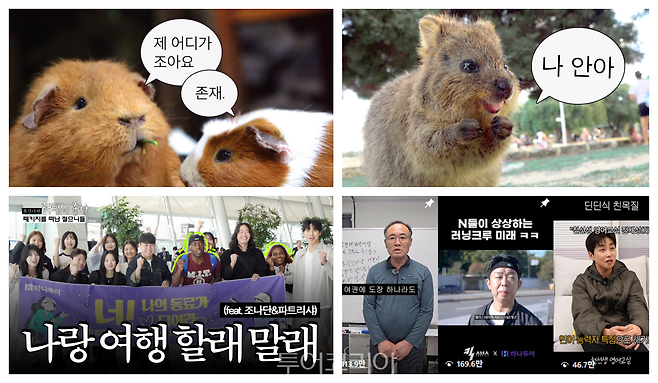 사진-하나투어