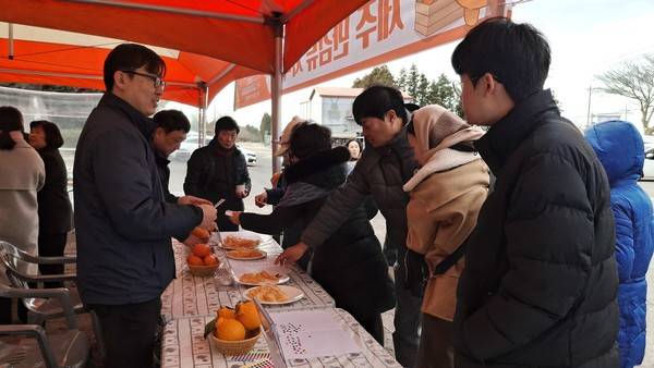 제주국제감귤박람회 조직위원회가 주최한 감귤 블라인드 시식회