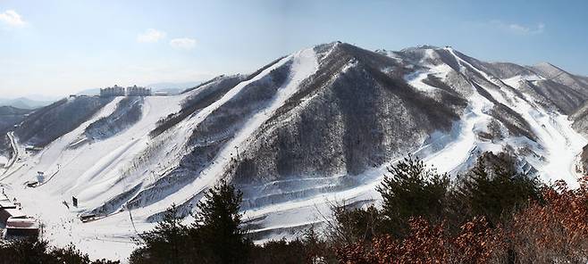 오투리조트 스키장 전경.(사진=오투리조트 제공) *재판매 및 DB 금지