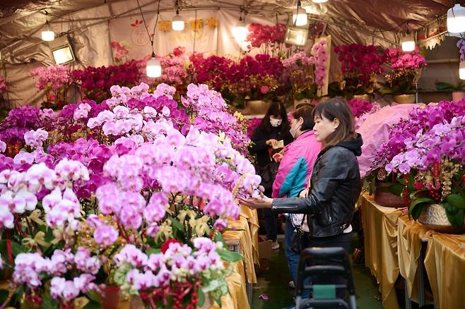 설 맞이 꽃 시장(Lunar New Year Fairs)            사진제공=홍콩관광청