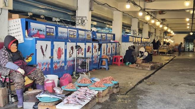 최강 한파가 몰아친 22일 포항 죽도시장에서 한 상인이 텅 빈 골목을 뒤로한 채 스마트폰으로 내일 날씨를 살피고 있다.