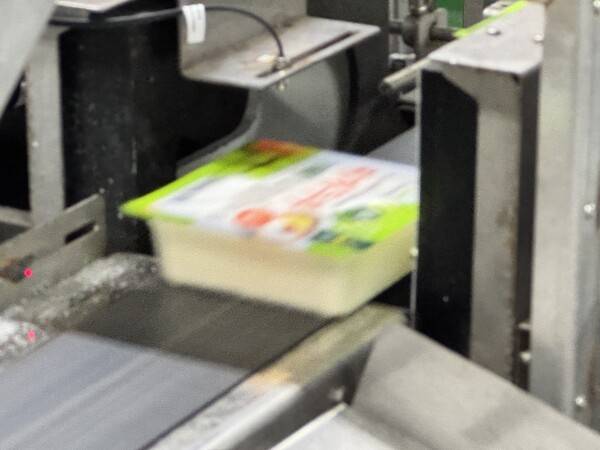 풀무원 음성 두부공장에서 완성된 두부 제품이 자동 포장 설비를 거쳐 이물·화상 검사 공정을 통과한 뒤 컨베이어 벨트를 따라 이동하는 모습. [출처=전제형 기자]