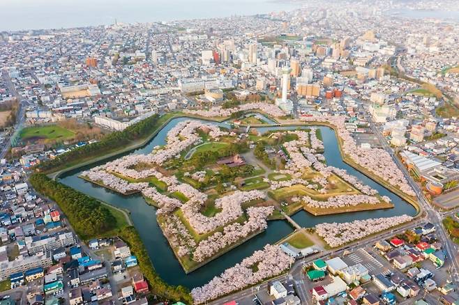 일본 홋카이도는 겨울철 삿포로 눈꽃 축제 기간 많은 방문객이 찾는 여행지로 알려져 있는데, 상대적으로 북위도에 위치함에 따라 일본 다른 지역에 비해 벚꽃은 다소 늦게 개화한다. 이를 고려해 여행 계획을 짜는 것도 좋을 것으로 보인다. 일본 관광청에서는 홋카이도의 경우 일본의 다른 지역에서 벚꽃 시즌이 끝난 후에도 벚꽃을 볼 수 있다고 설명했다. 사진은 홋카이도 고료카쿠 공원. / 일본관광청