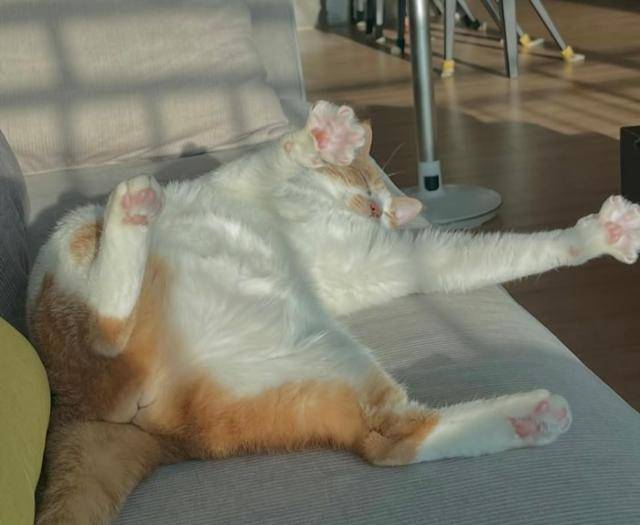 어디서나 당당하게 자기!