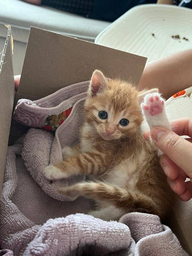 동동이 핑크젤리에 감동 중. 보호자 제공