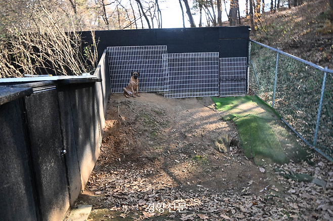지난해 11월 19일 경기 남양주시의 ‘동물복지’를 표방하는 단체인 ‘동물권행동 카라’가 돈을 지불하고 동물을 맡기는 위탁소에 개 한마리가 덩그러니 앉아 있다. 강한들 기자