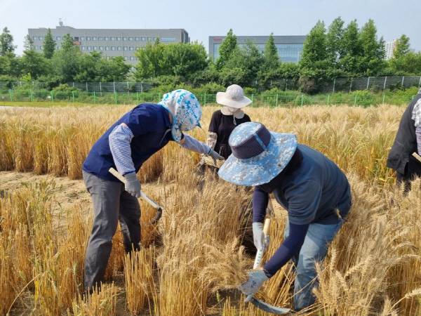 농사일을 하는 농민들.