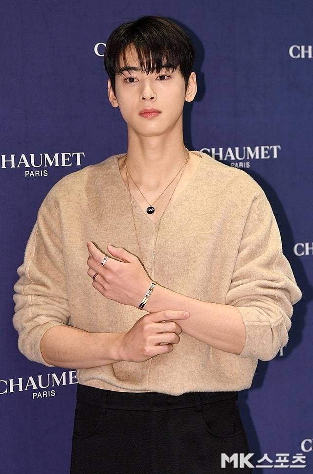 200억 원대 탈세 의혹에 휩싸인 그룹 아스트로 멤버 겸 배우 차은우(본명 이동민)가 논란을 피하고자 도피성 입대를 했다는 일명 ‘군대런’ 의혹까지 제기됐다. 사진=천정환 기자