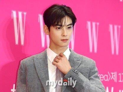 배우 차은우/마이데일리 DB