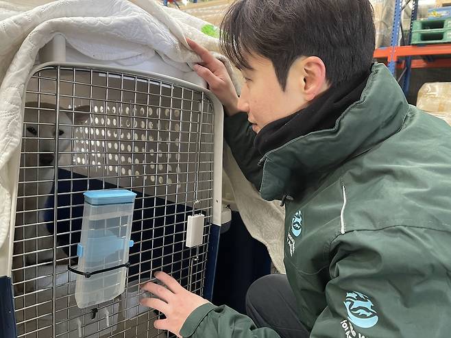 지난 20일 인천국제공항을 찾은 구조견.[한국 휴메인 월드 포 애니멀즈 제공]