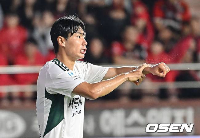 [OSEN=포항, 이석우 기자]