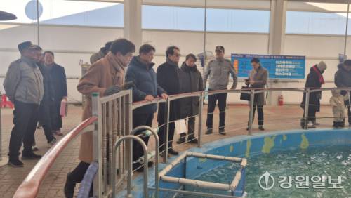 최현석 강원경찰청장은 22일 평창 진부면 평창송어축제장을 방문해 시설 운영 상황을 점검했다. 이날 방문에는 최종수 강원도의원, 박진오 강원일보 사장, 전종률 G1방송 사장, 최헌영 춘천MBC 사장, 유기석 평창경찰서장, 장문혁 평창송어축제위원장, 김용래 진부면이장협의회장, 황봉구 진부면번영회장, 김왕제 전 강원도 부이사관 등이 동참했다.