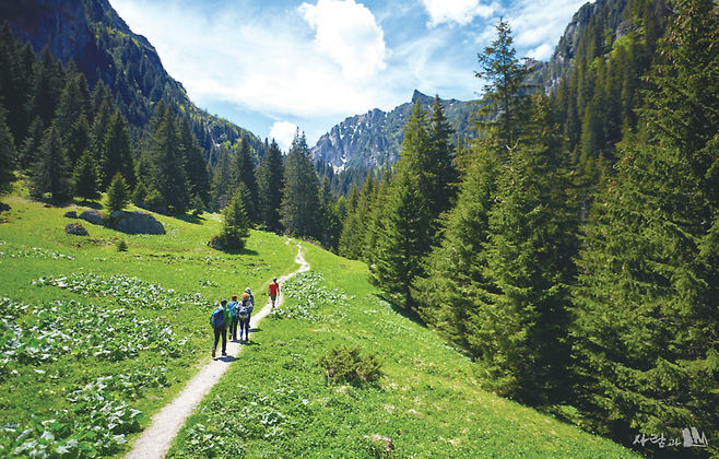 트레킹: 산 정상이나 그 주변 자연길 시골길을 걷는 행위(trekking, hiking)