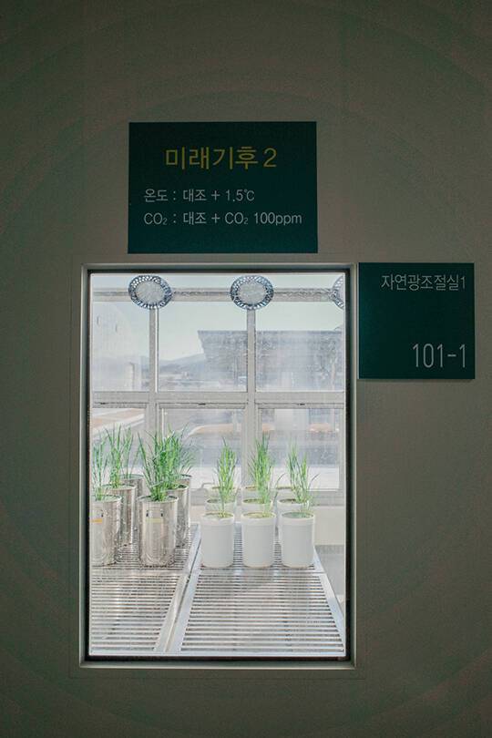 농촌진흥청 기후조절실 내부./공동취재단