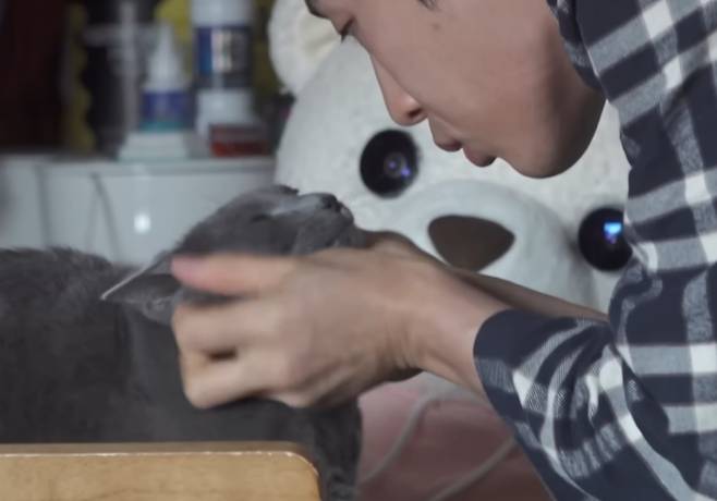 '나혼자산다' (나혼산)