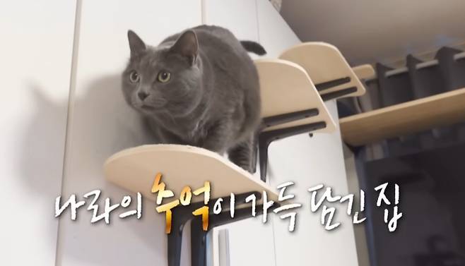 '나혼자산다' (나혼산)