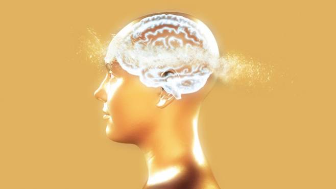 알츠하이머병은 뇌 조직 내에 단백질인 베타 아밀로이드와 타우 단백질이라는 물질이 엉키고 쌓이는 것이 주요 특징이다. 수십년 간 암과 치매의 주요 원인질환인 알츠하이머병이 같은 사람에서 발병하지 않는다는 관측이 이어졌다. 게티이미지뱅크 제공