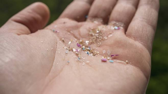 미세플라스틱은 체내에서 단백질과 결합해 뇌세포 기능을 교란하는 것으로 나타났다. 게티이미지뱅크 제공.