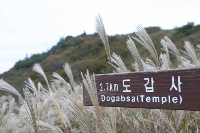 월출산 미왕재 이성원 기자