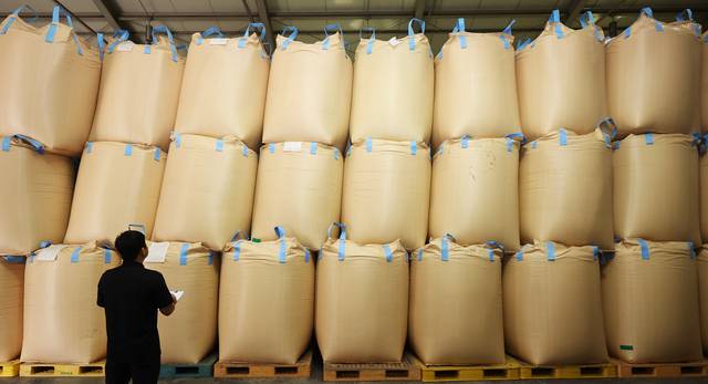 지난해 10월 경기도의 한 미곡종합처리장에서 관계자가 올해 수매한 쌀을 살펴보고 있다. 연합뉴스