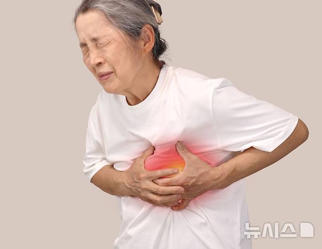 [서울=뉴시스]  협심증은 심장 근육에 혈액을 공급하는 관상동맥이 좁아지는 질환이다. (사진= 유토이미지 제공)