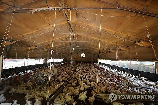 육계농장 [연합뉴스 독자제공. 재판매 및 DB 금지]