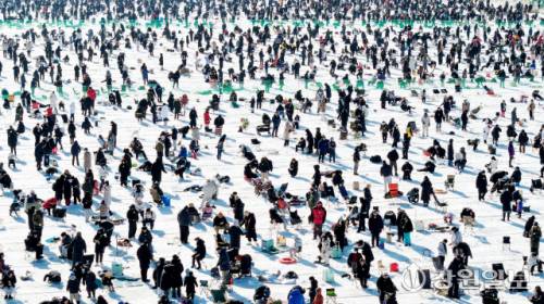 ◇개막 15일째인 24일, 화천산천어축제를 방문한 수많은 관광객들이 산천어 얼음낚시를 즐기고 있다.