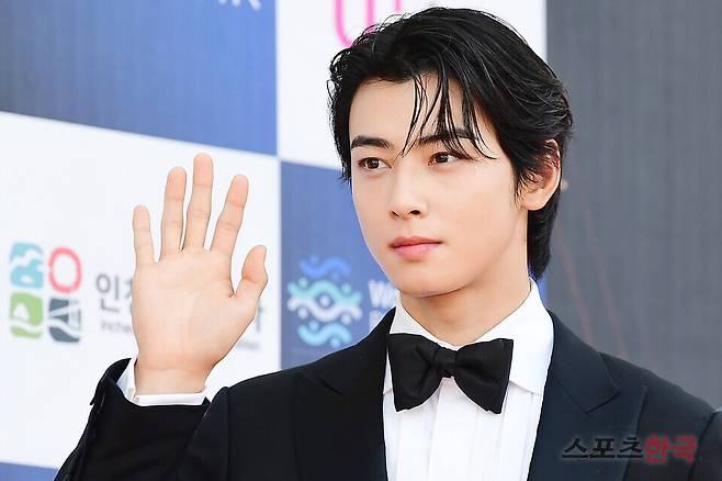 '차은우 장어집'의 비밀…탈세 의혹 속 팬 기만 논란[스한:이슈]