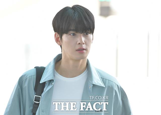 가수 겸 배우 차은우가 무려 200억 규모에 해당하는 탈세 의혹에 휩싸이며 이미지에 큰 타격을 입었다. /더팩트 DB