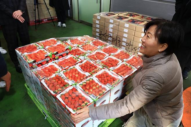 송미령 농림축산식품부 장관이 지난 22일 충남 논산시 딸기재배 농가를 방문, 수급 상황을 점검하고 있다. /농림축산식품부 제공.